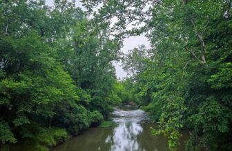 The Little Issues E-newsletter #478 – Life, laughter, a number of nice meals!