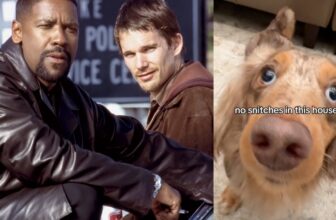 This ‘Coaching Day’ Meme Is Getting Me By the Collapse of American Democracy