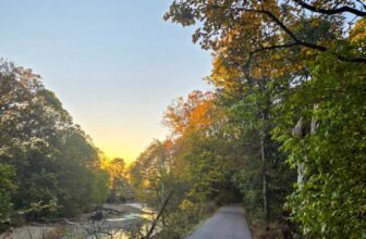 The Little Issues Publication #491 – Life, laughter, and many nice meals!