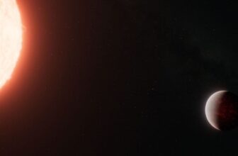 This ‘Moist Lava Ball’ in House By some means Clings to an Ambiance